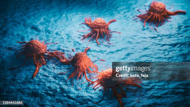 cancer cells vis - cancro do ovário imagens e fotografias de stock