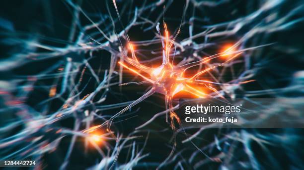 neuron system disease - biological cell stock pictures, royalty-free photos & images