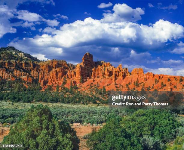 bryce canyon national park. utah, usa. - utah red rocks stock pictures, royalty-free photos & images