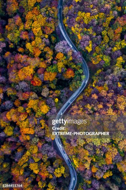 drohnenblick auf die bergstraße inmitten des bunten herbstwaldes - mountain roads stock-fotos und bilder