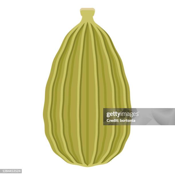 cardamom icon on transparent background - cardamom stock illustrations