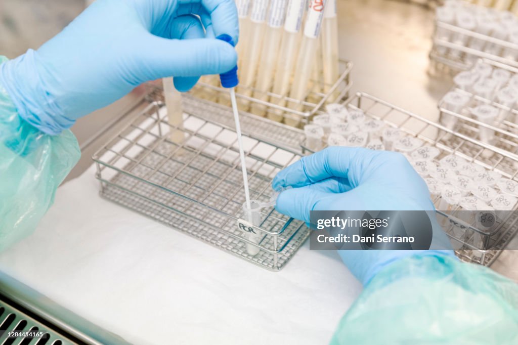 Lab Pcr Examples Healthcare Laboratory Worker Preparing Sample Swab For Pcr Test High ...
