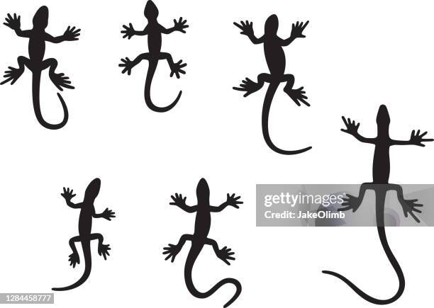 lizard silhouettes 1 - salamander stock illustrations