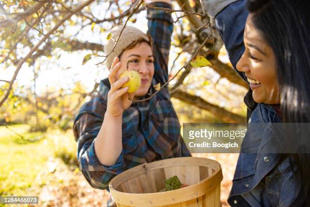 Non Binary Person and Female Friend Apple Picking Together at an Upstate New York Orchard