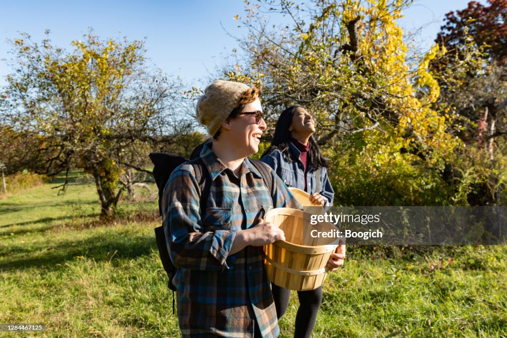 Dos amigos adultos en los años 30 caminando juntos con apple recoger cestas en una granja de Nueva York en otoño
