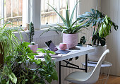 Work from home office with potted house plants