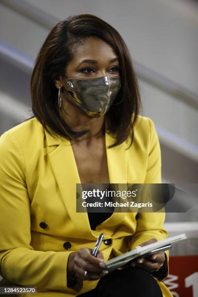 Fox sideline reporter Kristina Pink in the stands before the game between theSan Francisco 49ers and the Green Bay Packers at Levi's Stadium on...