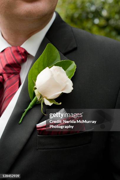 grooms buttonhole - sydney rose photos et images de collection