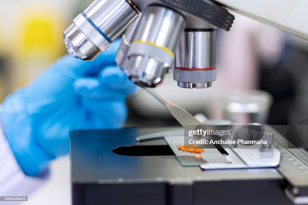 Microscope Check Laboratory Concept Close Up Picture Of Scientist Use The Microscope To ...