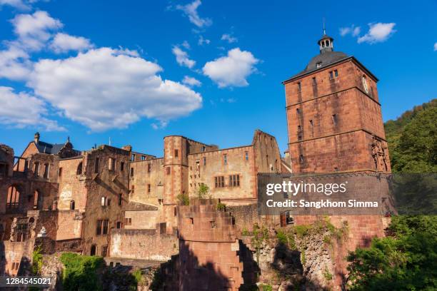 the old castle in heidelberg.germany. - simma stock pictures, royalty-free photos & images