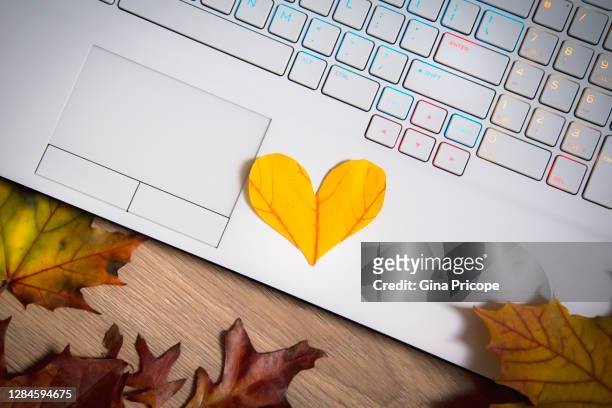 heart cut out from a leaf on a laptop keyboard - maple leaf heart stock pictures, royalty-free photos & images
