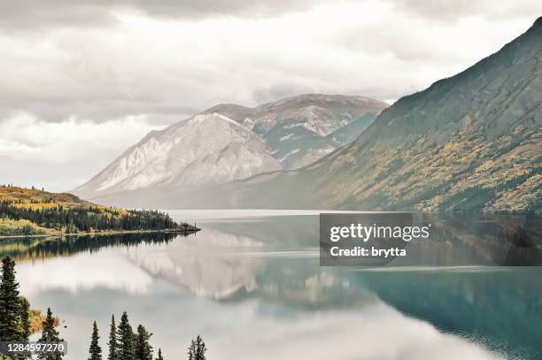 tagish lake, yukon,canada - yukon stock pictures, royalty-free photos & images