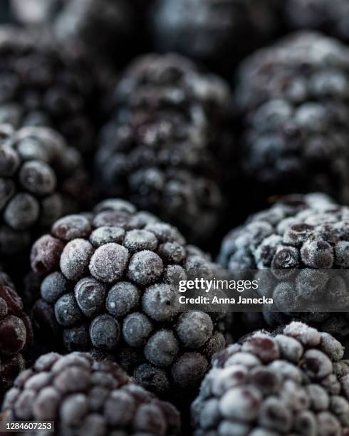 defrosting blackberries - blackberry fruit macro stock pictures, royalty-free photos & images