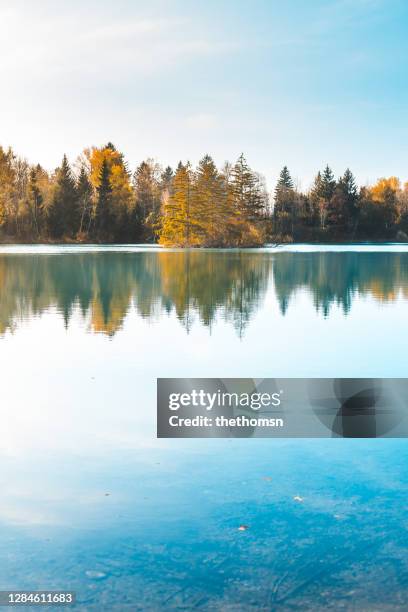 autumnal scene on lakeshore, bavaria, germany - freshwater stock pictures, royalty-free photos & images