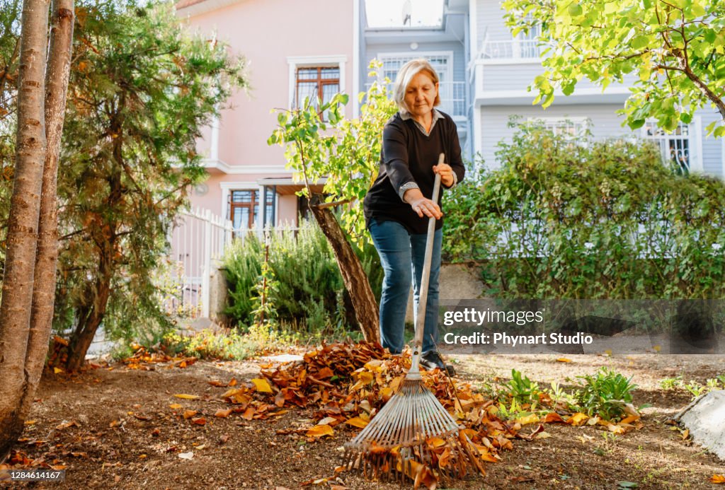 Senior woman cleaning the backyard from fallen leaves