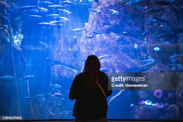 hispanic woman at aquarium - costa de oregon imagens e fotografias de stock