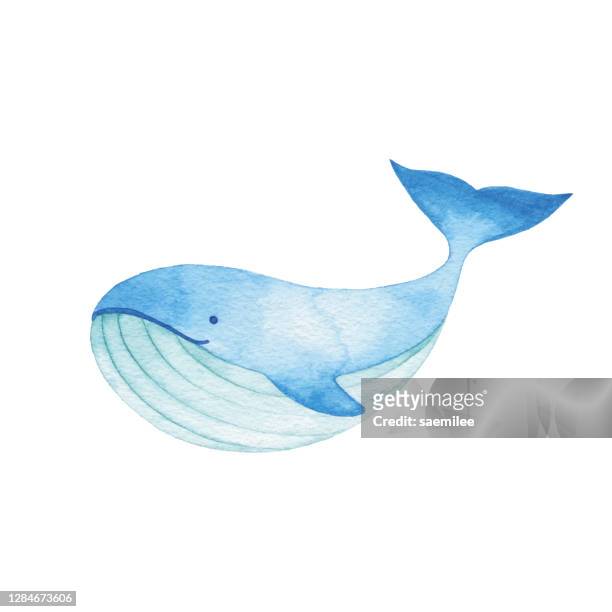 ilustraciones, imágenes clip art, dibujos animados e iconos de stock de acuarela linda ballena azul - whales