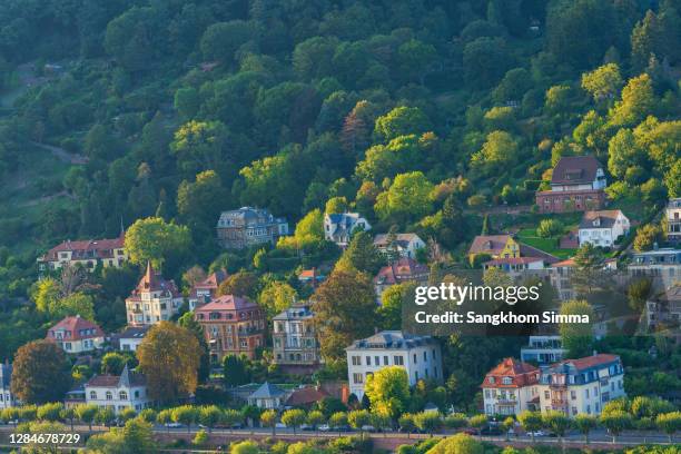 a traditional village on a hill in heidelberg, germany. - simma stock pictures, royalty-free photos & images