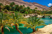 Desert oasis in the Oman