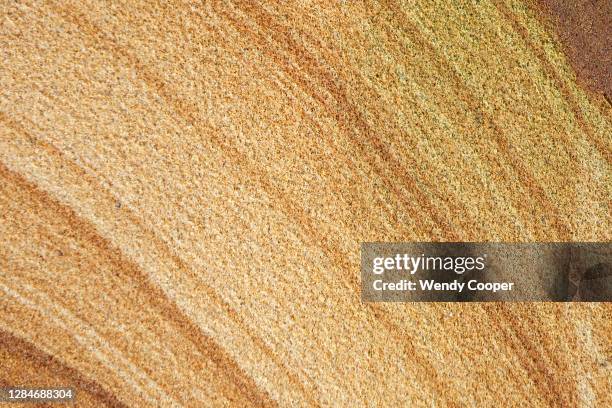 curved bands in sandstone - sandstone stock pictures, royalty-free photos & images