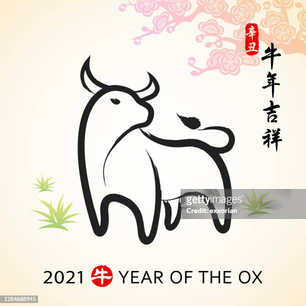 ilustrações de stock, clip art, desenhos animados e ícones de year of the ox chinese painting - looking over shoulder