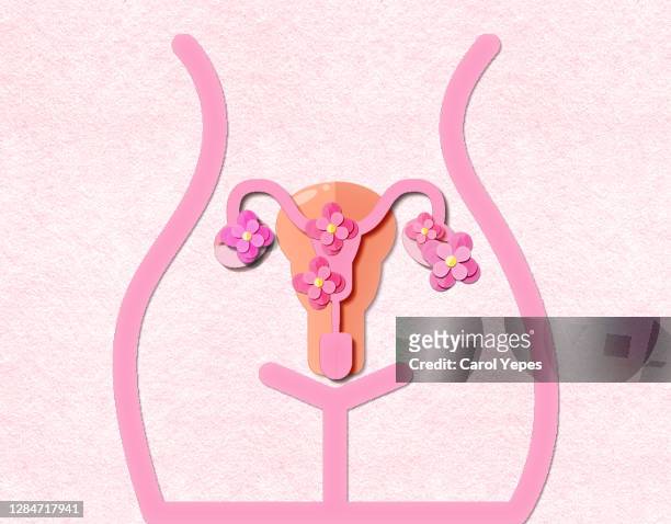 pcos syndrome, polycystic ovary syndrome concept in paper cut - ovaries 個照片及圖片檔