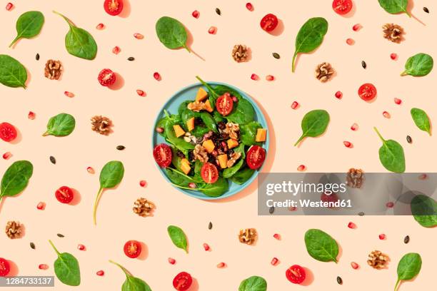 ilustraciones, imágenes clip art, dibujos animados e iconos de stock de studio shot of plate of fresh vegan salad surrounded by its ingredients - tomato stock illustrations