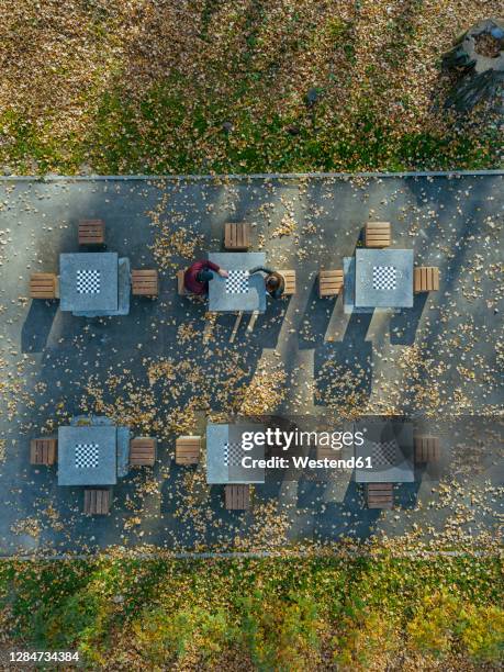 boyfriend and girlfriend playing chess at table in park during autumn - chess board overhead stock pictures, royalty-free photos & images