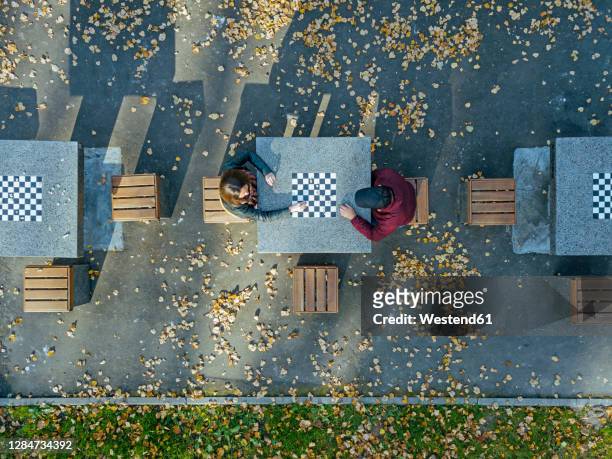 boyfriend playing chess with girlfriend at table in park during autumn - playing chess stockfoto's en -beelden