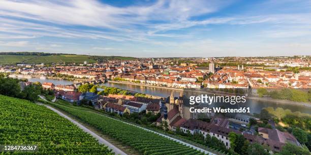 germany, bavaria, wurzburg, panorama of vineyard and houses of riverside cityat dusk - würzburg stock pictures, royalty-free photos & images