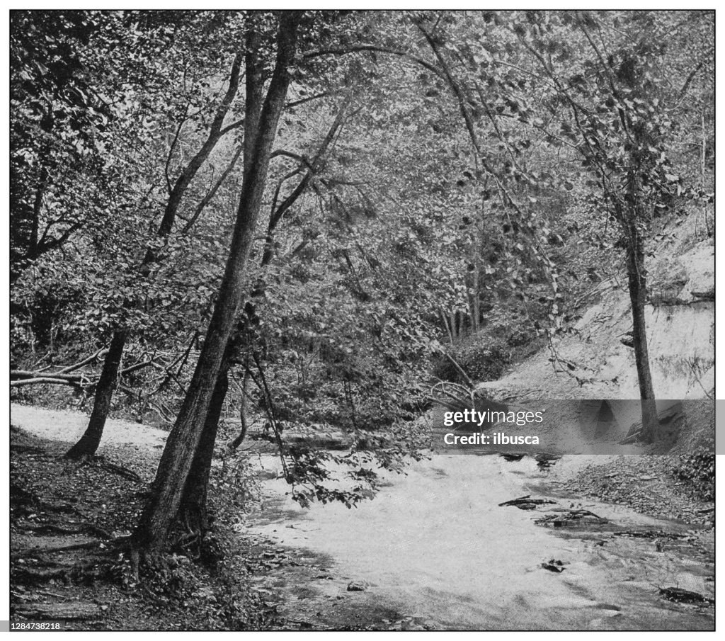 Antique black and white photo of the United States: Minnehaha creek below the falls