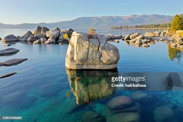 bonsai rock - see lake tahoe stock-fotos und bilder