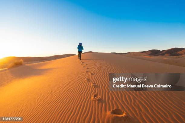 woman in the desert - atlas mountains stock pictures, royalty-free photos & images