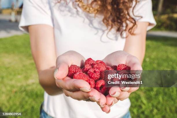 Woman Holding Raspberry Raspberries Woman Photos and Premium High Res Pictures - Getty Images