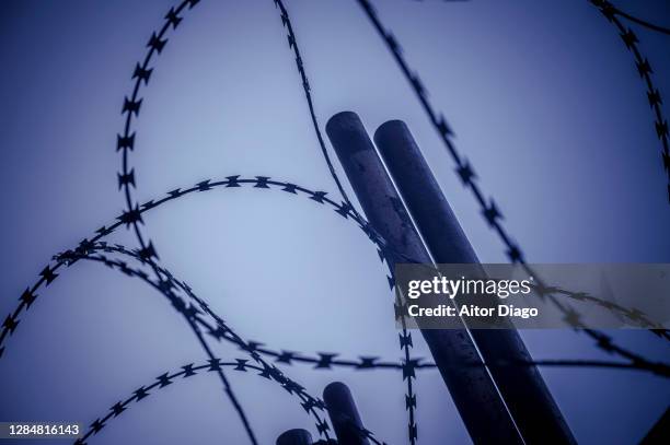 close-up of very sharp barbed wire of a security fence. - swirl border stock pictures, royalty-free photos & images