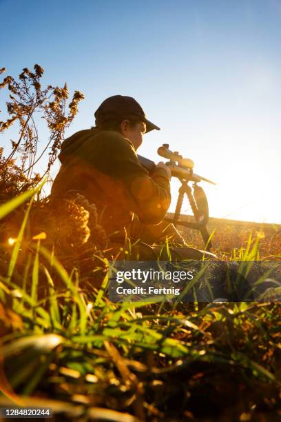 a teen hunter out in the evening. - hunting rifle stock pictures, royalty-free photos & images