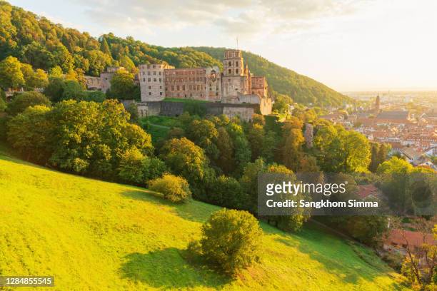 landmark and beautiful heidelberg town with neckar river, germany. - simma stock pictures, royalty-free photos & images