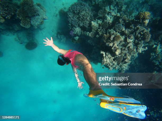 girl dive in red sea with fish and corals, underwater shoot, hurghada, egypt. - scuba diving girl stockfoto's en -beelden