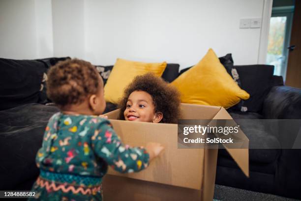 surprise! - kid hide and seek stock pictures, royalty-free photos & images