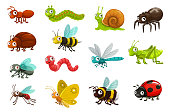 Cute bugs and insects cartoon vector characters
