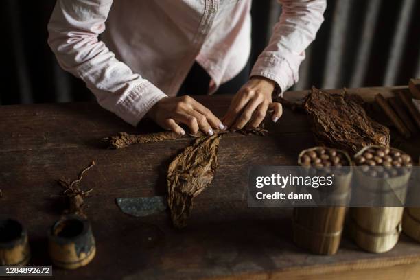 hands of a woman rolling a cuban cigar in a beautfiul ambient. vinales, cuba - tobacco product stockfoto's en -beelden