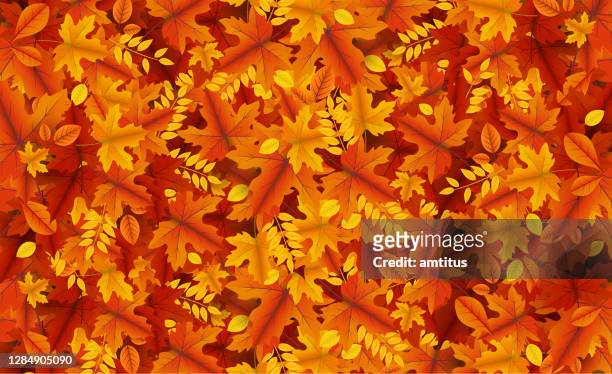 ilustraciones, imágenes clip art, dibujos animados e iconos de stock de hojas de otoño bg - foliate pattern