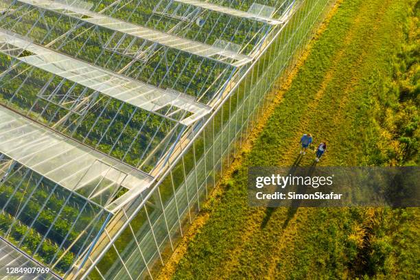 flygfoto över växthus och personer som bär låda med grönsaker - drone agriculture bildbanksfoton och bilder