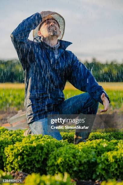 Farmers While Raining 7,315 Farmer Rain Stock Photos, High-Res Pictures, and Images - Getty ...