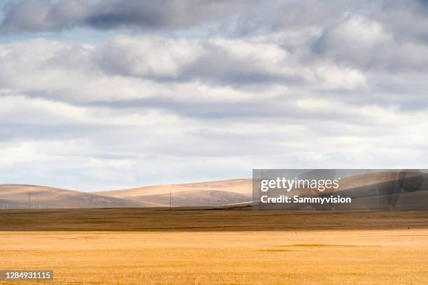 1,246 Haystack Gold Stock Photos, High-Res Pictures, and Images - Getty ...