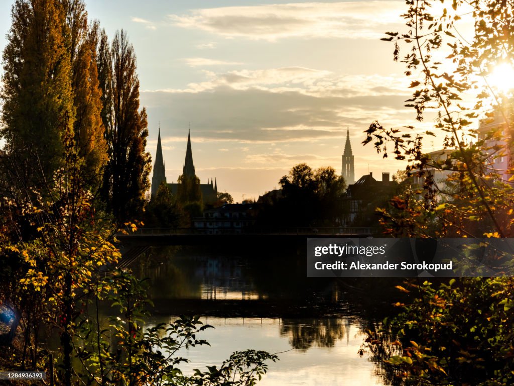 Autumn colors. Plane trees and poplars of rusty and orange colors on the streets and canals of Strasbourg.