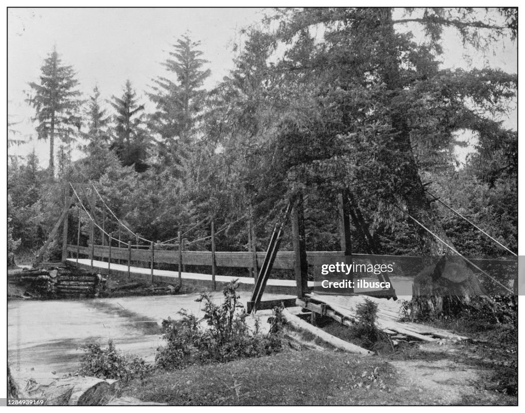 Antique black and white photo of the United States: Indian River, near Sitka, Alaska