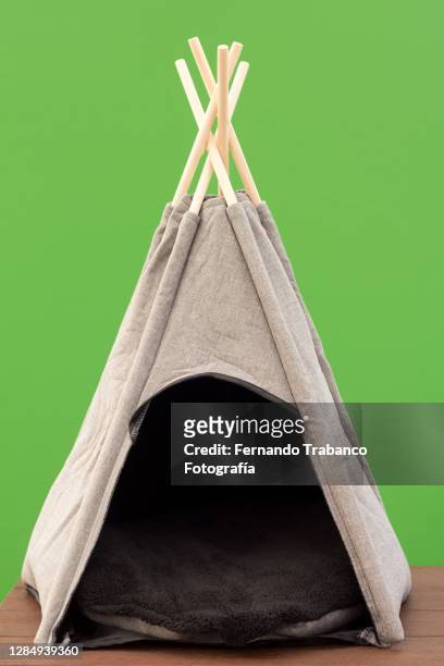 indian teepee with green background - teepee ストックフォトと画像