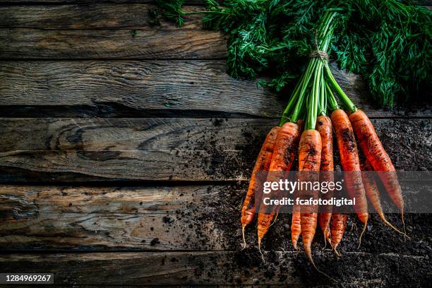 carrots bunch on rustic wooden table. copy space. - carrot farm stock pictures, royalty-free photos & images