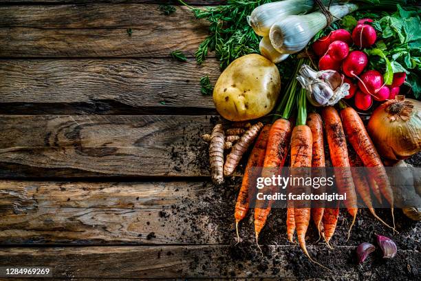 healthy fresh organic root vegetables on rustic wooden table. copy space - root vegetables stock pictures, royalty-free photos & images